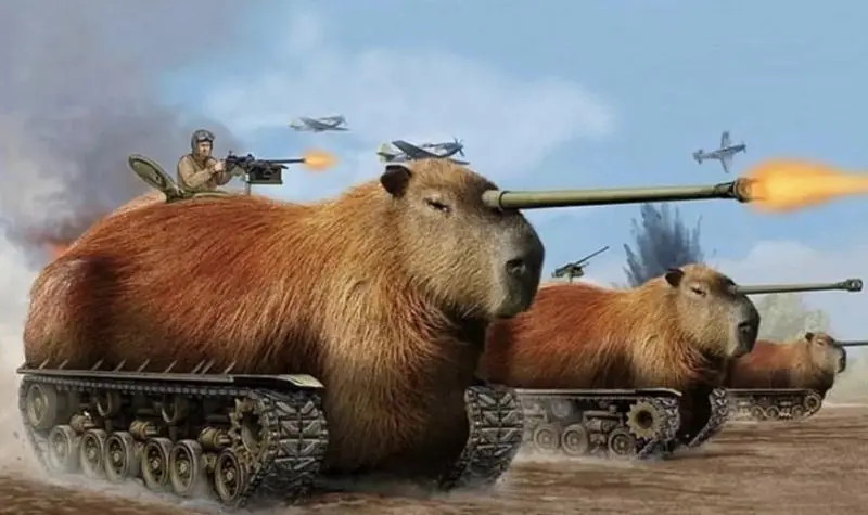 Meme capybara làm cho người xem cười