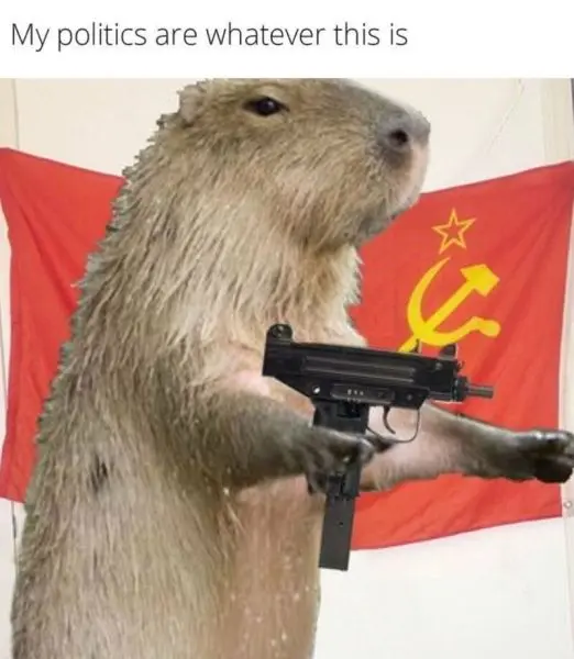 Meme capybara với đôi mắt hài hước