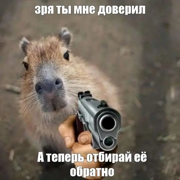 Meme capybara làm mọi người cười