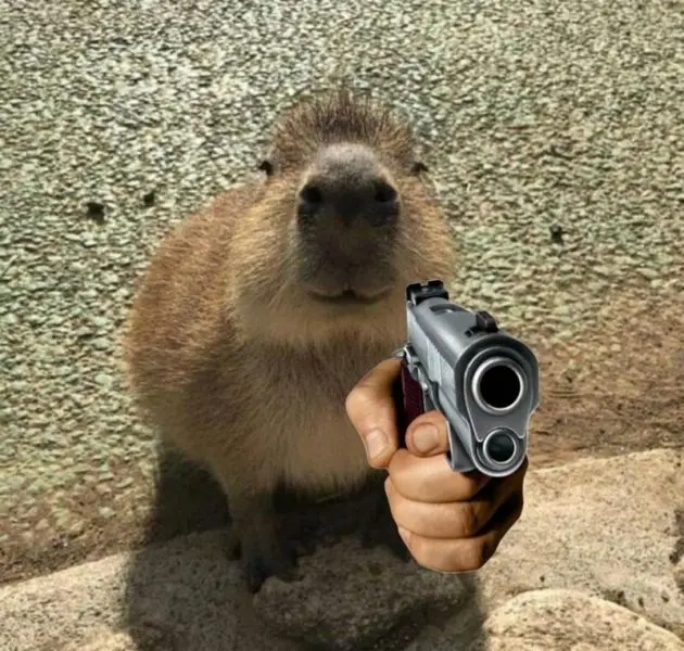 Meme capybara trong một khoảnh khắc vui nhộn