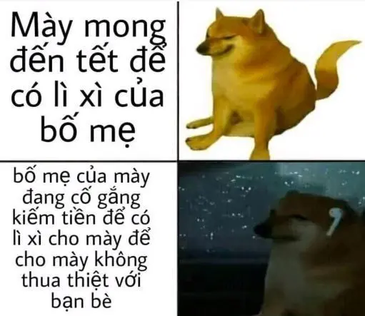 Meme Nhân văn thúc đẩy suy nghĩ về cuộc sống