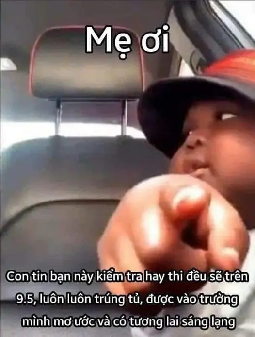 Nhân văn Meme giúp người xem yêu cuộc sống nhiều hơn