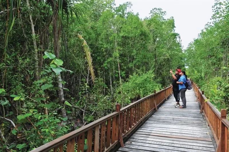 Tận hưởng không gian tự nhiên yên bình tại khu vực sinh thái.