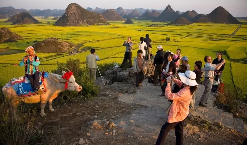 Phong cảnh xanh và yên tĩnh trong khu vực sinh thái.