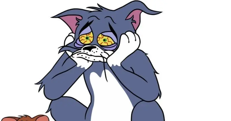 Meme Face Tom và Jerry cho bạn bè