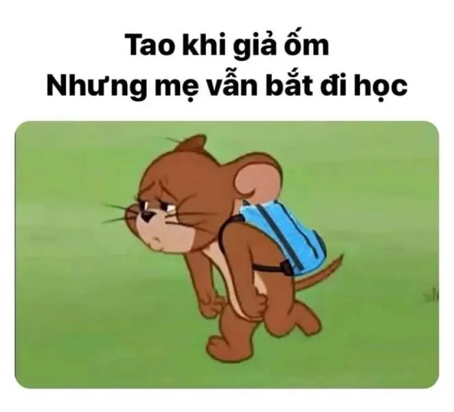 Meme Face Tom và Jerry làm cho bạn hạnh phúc