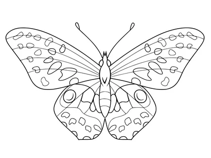 Coloring the butterfly - Interesting educational activities to help your baby learn and play.