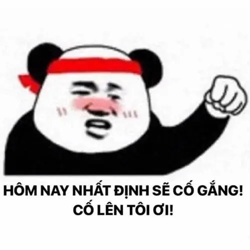 Meme chiến đấu với quyết tâm