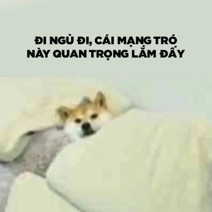 Meme đi ngủ hoạt hình dễ thương và hài hước