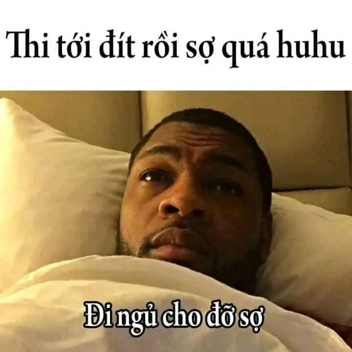 Meme mọi người đi ngủ với khuôn mặt buồn ngủ