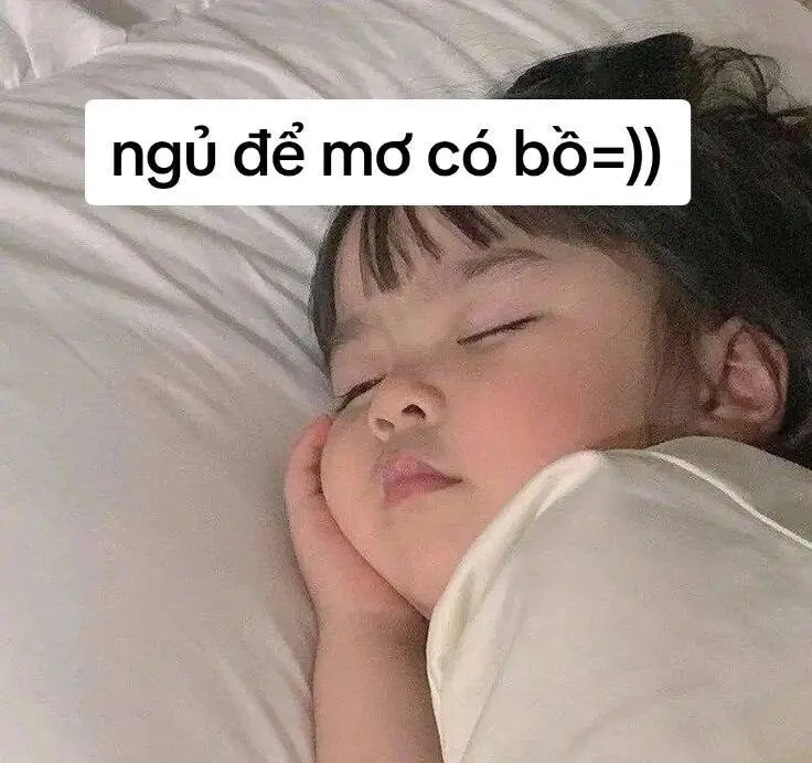 Meme ngủ để mơ với sự hài hước