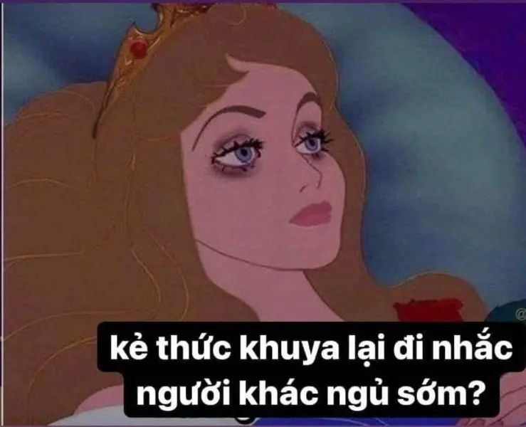 Meme đi ngủ với biểu cảm buồn ngủ