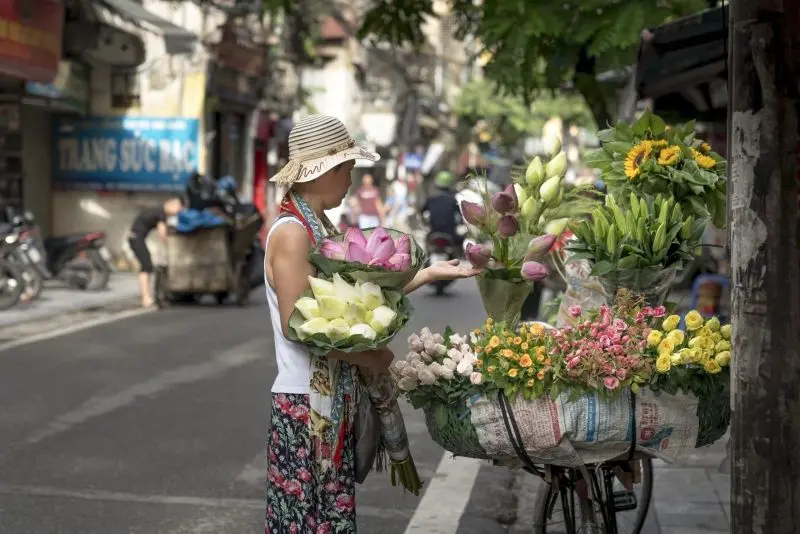 Ảnh hoa Hà Nội với vẻ đẹp lãng mạn