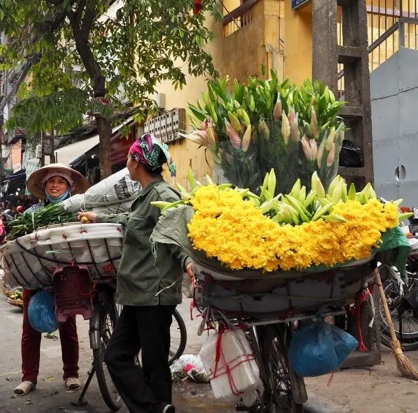 Ảnh của hoa mùa thu trong thơ ca Hà Nội