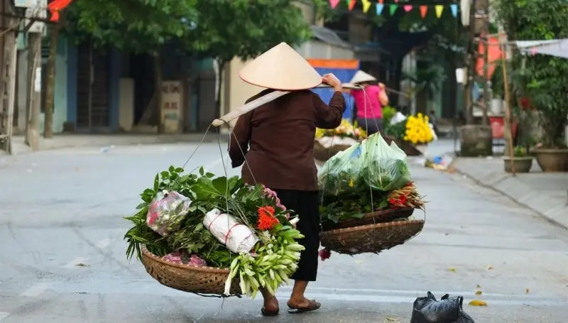 Hình ảnh hoa mùa thu đẹp ở Hà Nội quyến rũ mọi người