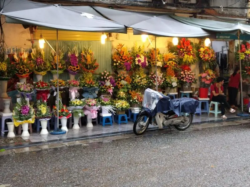 Sự lãng mạn trong hình ảnh hoa mùa thu tuyệt đẹp ở Hà Nội