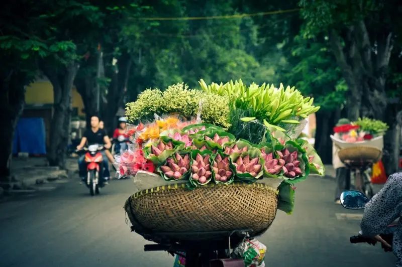 Phong cảnh lãng mạn trong ảnh hoa mùa thu Hà Nội