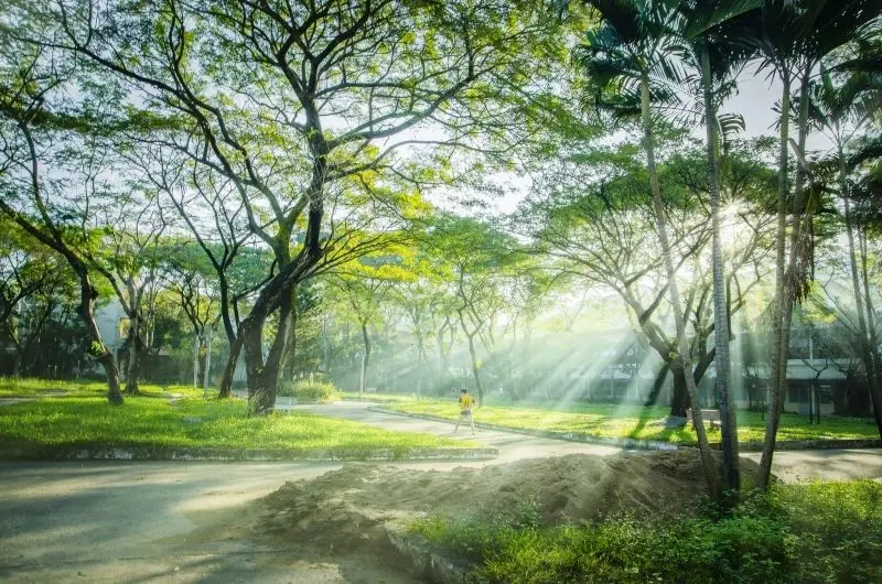 Công viên quốc gia với thiên nhiên nguyên sơ và xanh quanh năm.