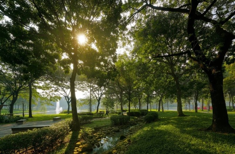 Công viên quốc gia, nơi thiên nhiên nguyên sơ xuất hiện rõ ràng.