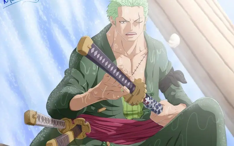 Hình ảnh của Roronoa Zoro được thiết kế độc quyền bởi các họa sĩ nổi tiếng