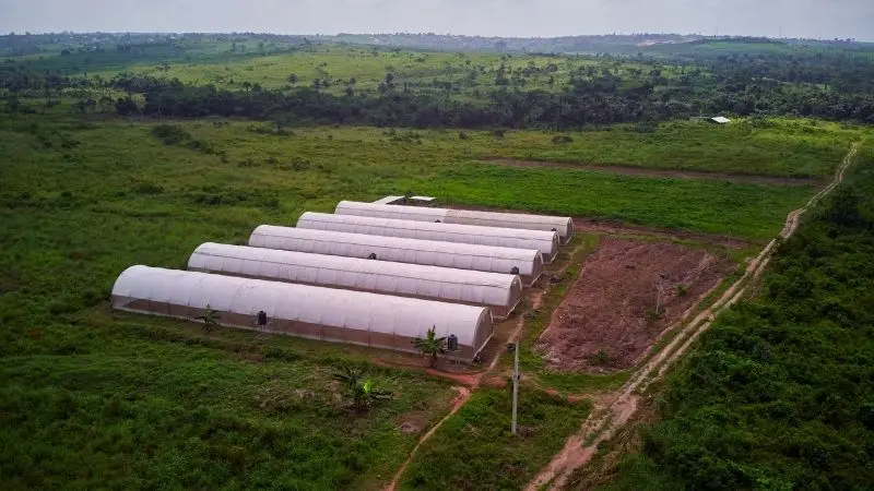 Chiêm ngưỡng phong cảnh trang trại xanh mướt, nơi cuộc sống hòa quyện với thiên nhiên.