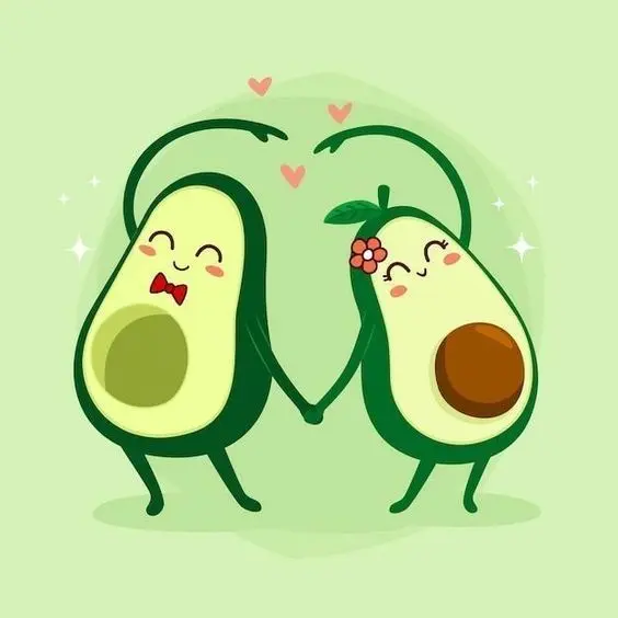 Avocado bơ, sự lựa chọn không thể thiếu cho các tín đồ yêu bơ