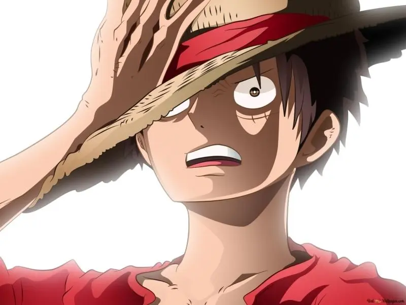 Hình ảnh của Avatar Luffy rất tuyệt, giúp bạn truyền bá niềm đam mê của mình cho một mảnh