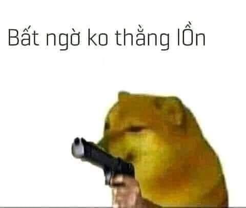 Cười với con chó meme