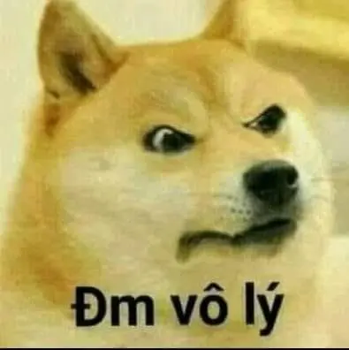 Con chó vui nhộn meme 