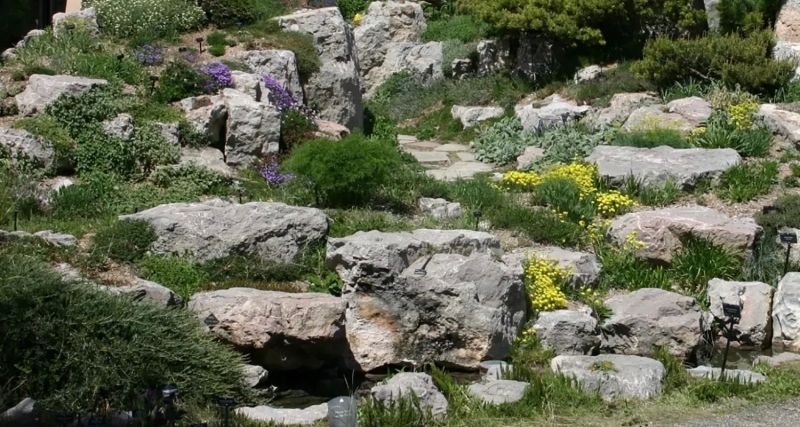 The beautiful natural rockery helps the garden more vivid and harmonious.