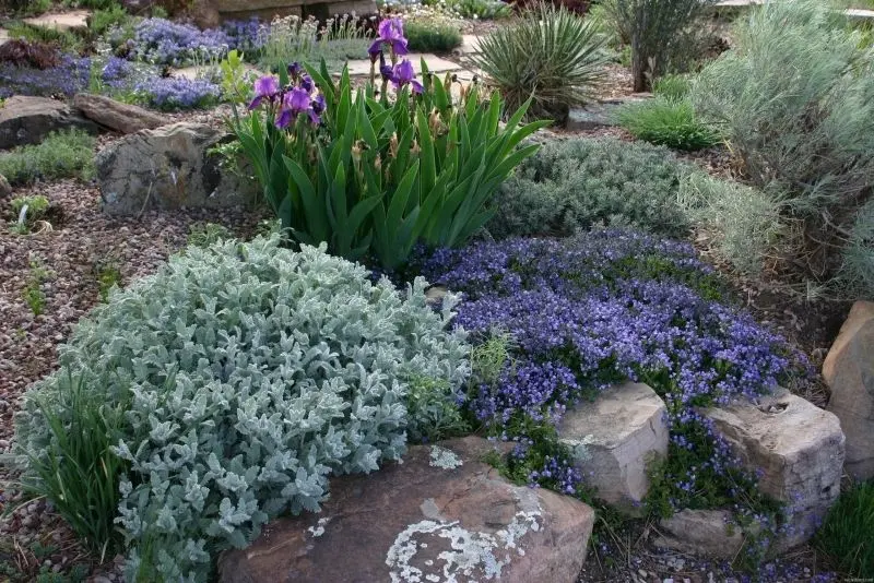 The rockery is naturally beautiful, quiet corner for relaxing moments.