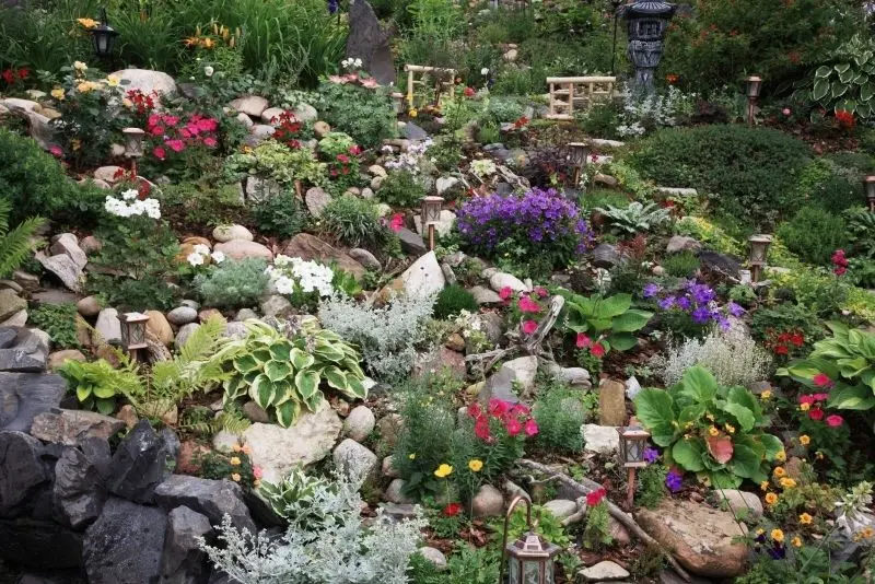 The natural beauty of the rockery is harmonizing the garden space.