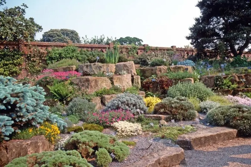 The landscape of the rockery is naturally beautiful, the highlight creates a relaxing space.