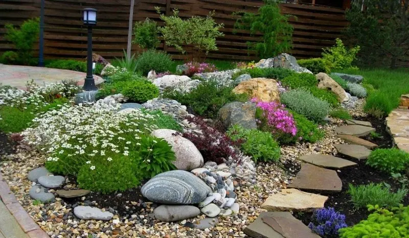 The natural beauty of the rockery is adorned with a green living space.