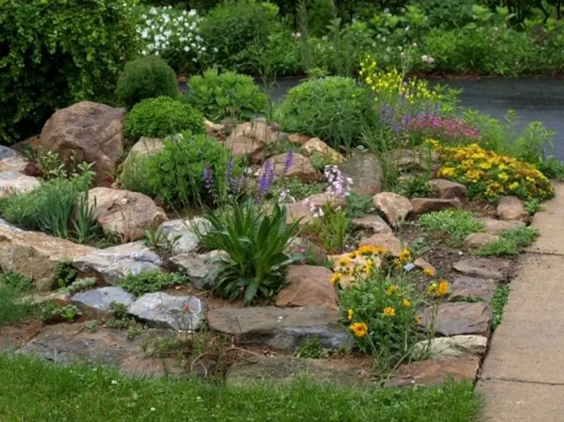 The scenery of beautiful natural rockery helps improve green living space.