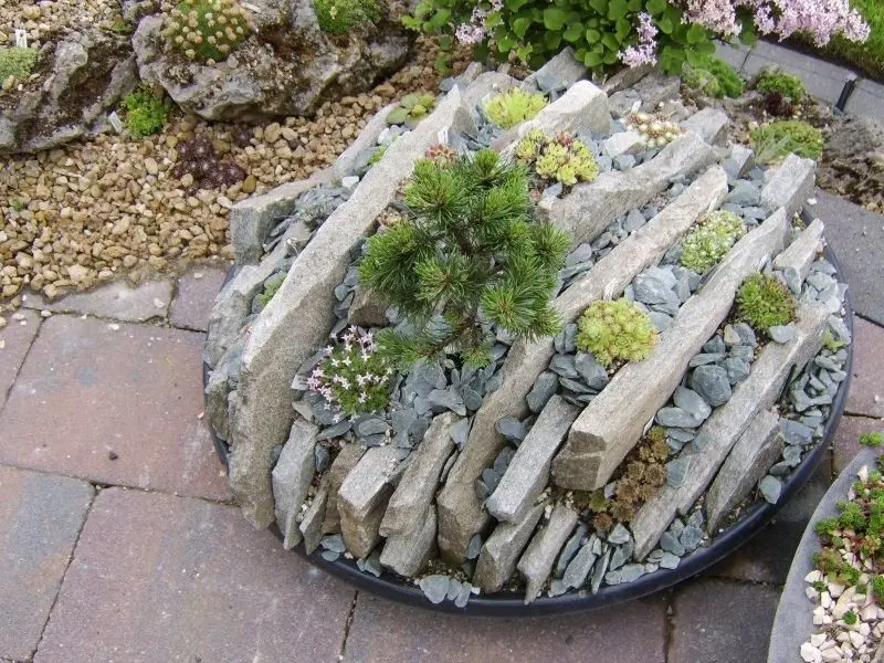 The beautiful natural rockery creates a prominent highlight for the garden space.