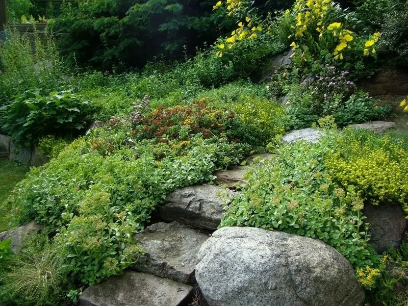 The natural beauty of rockery is blended with trees to create a fresh space.