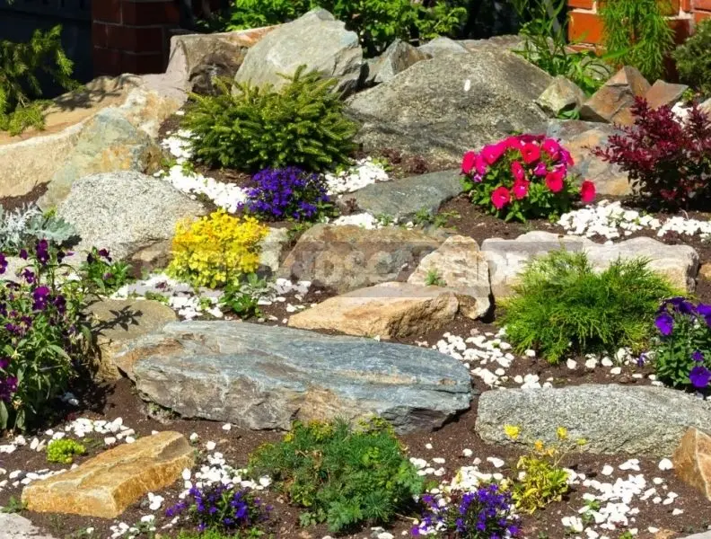 Enjoy the fresh space with a beautiful natural rocky landscape.