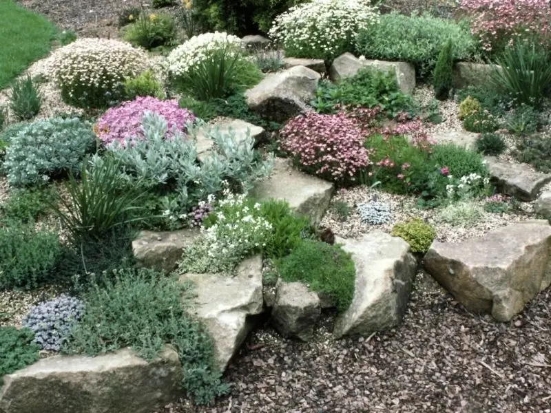 Natural beautiful rockery helps balance living and nature space.