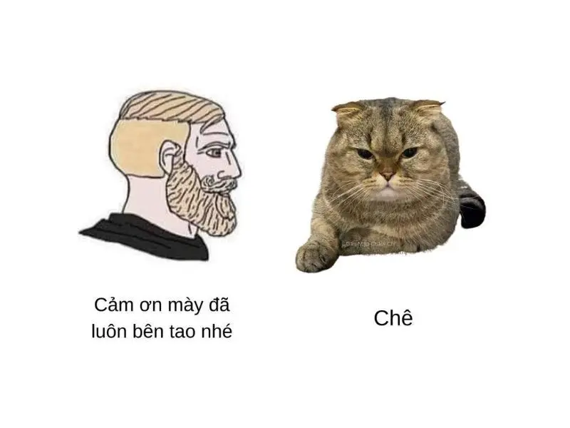 Meme chỉ trích bạn suy nghĩ lại về những gì đang xảy ra