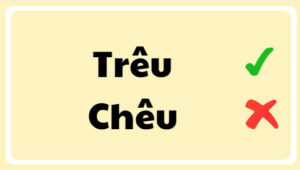 trêu hay chêu