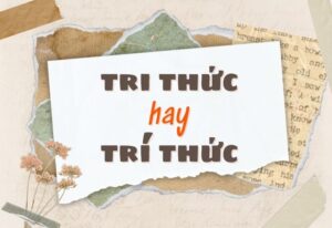 tri thức và trí thức