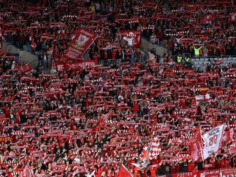 Ảnh cổ vũ Liverpool trên khán đài