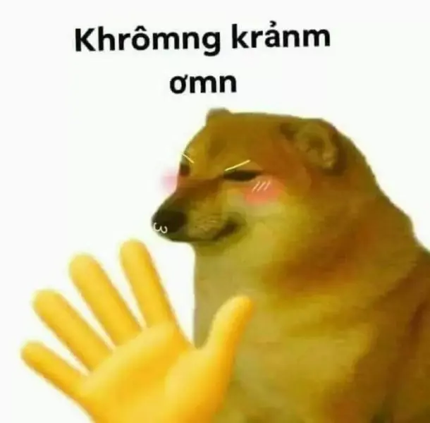 Meme cảm ơn dễ thương và gần gũi dễ thương