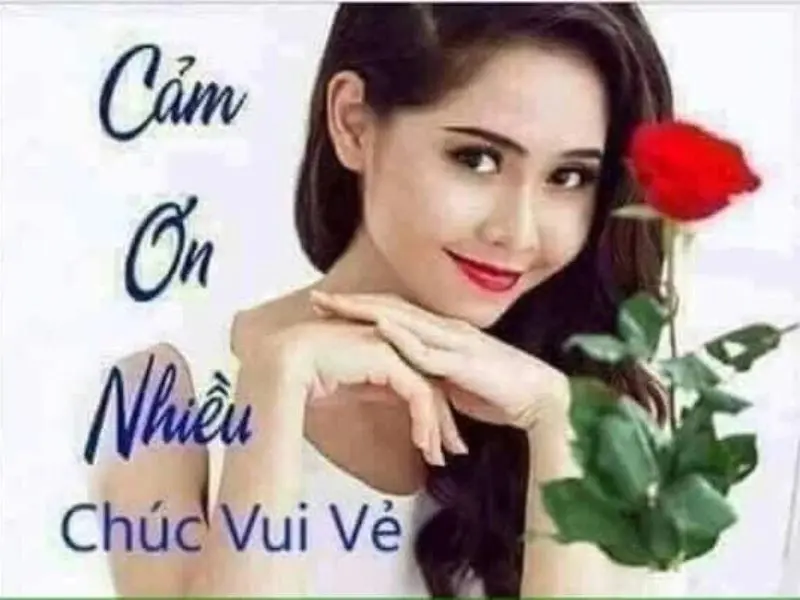 Meme cảm ơn bạn dễ thương cho bạn bè