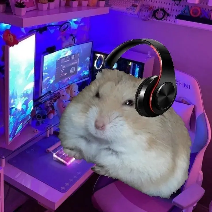 Hamster Meme đeo tai nghe vui nhộn