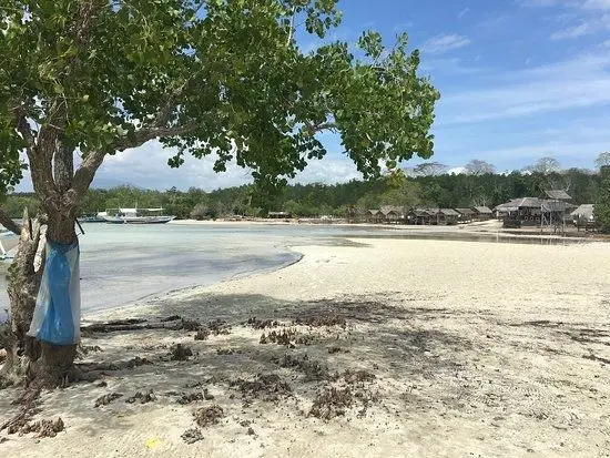 Khám phá bãi biển hoang sơ vào hoàng hôn, nơi ánh nắng lắng xuống tạo nên một không gian huyền bí.