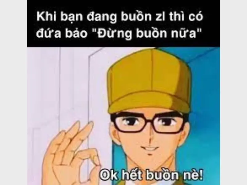 Meme an ủi vô tri, vui tính