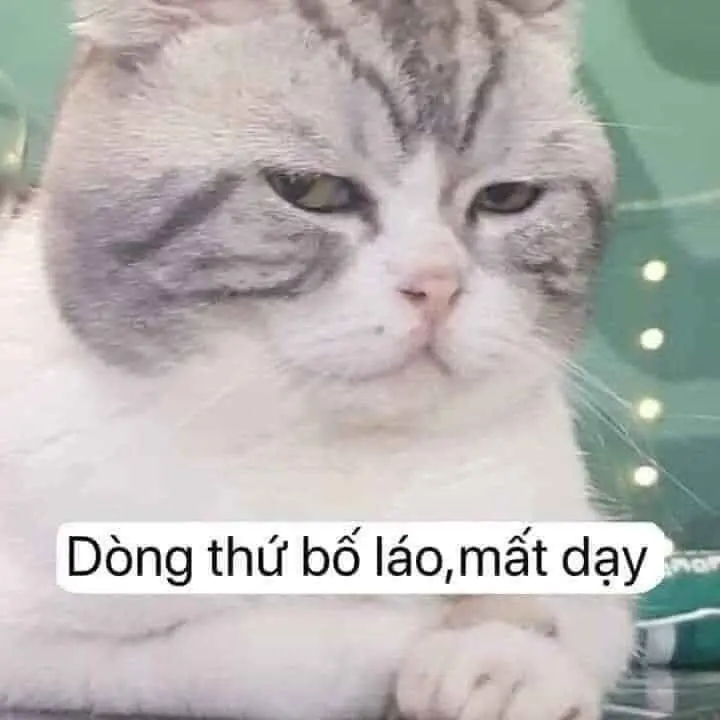 Meme bị nguyền rủa hài hước và sâu sắc