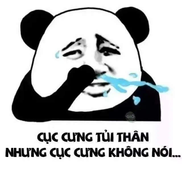 Thưởng thức meme vui nhộn